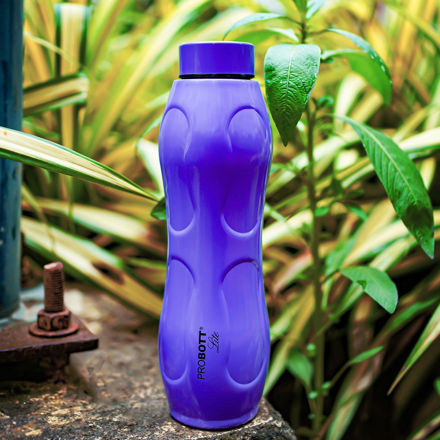 PROBOTT LITE Ocean 950ml Single Wall Stainless Steel Water Bottle Without Vacuum Tech, Purple
