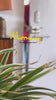 Video provided by Shopify App SwipeUp